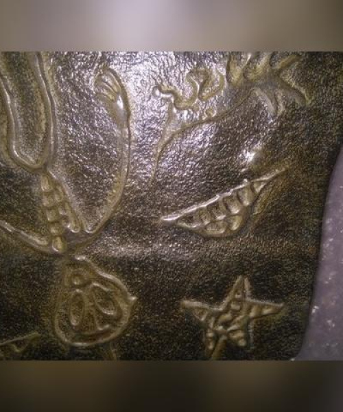 长颈鸟喙 第2页