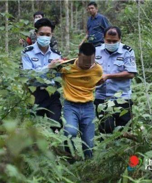 滤嘴棒公司排名