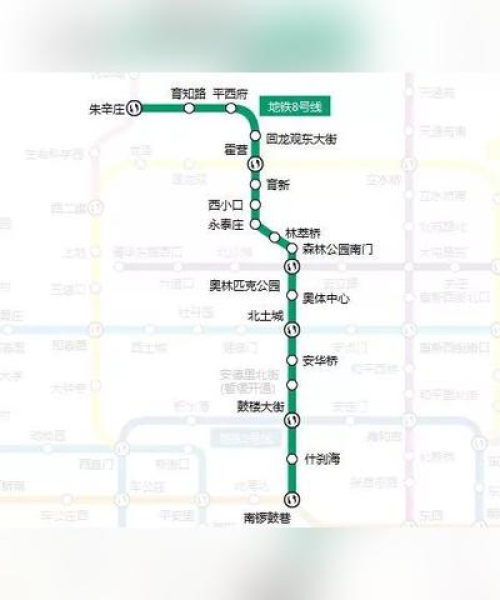 奔赴花海，励志语录与人生旅程