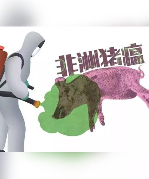 宣城今日生猪价格查询最新
